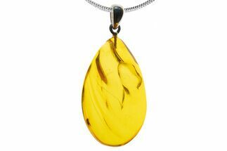 Polished Baltic Amber Pendant (Necklace) - Contains Fly! #339464