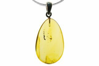 Polished Baltic Amber Pendant (Necklace) - Contains Fly! #339469