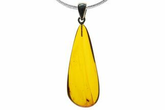 Polished Baltic Amber Pendant (Necklace) - Contains Wasp! #339470
