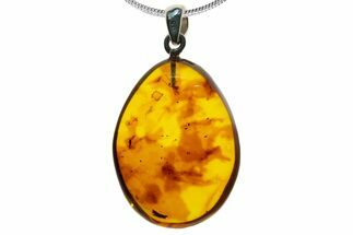 Polished Baltic Amber Pendant (Necklace) - Spider & Coprolites! #339471