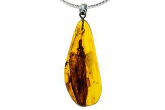 Polished Baltic Amber Pendant (Necklace) - Contains Fly! #339474