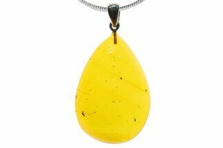 Polished Baltic Amber Pendant (Necklace) - Contains Fly! #339475