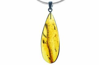 Polished Baltic Amber Pendant (Necklace) - Contains Beetle! #339478