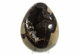 Septarian Dragon Egg Geode - Sparkly Black Crystals #336467
