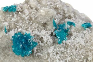 Vibrant Blue Cavansite Crystals on Sparkling Stilbite - India #340997
