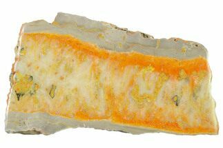 Polished Bumblebee Jasper Slab - Indonesia #338301