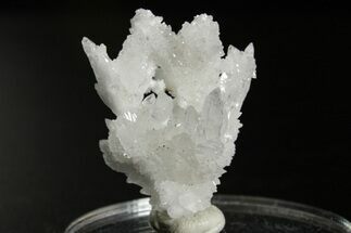 Sparkling Cave Calcite (Aragonite) Specimen - Potosi Mine, Mexico #340952