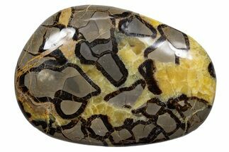 Gorgeous, Polished Septarian Stone - Madagascar #341872