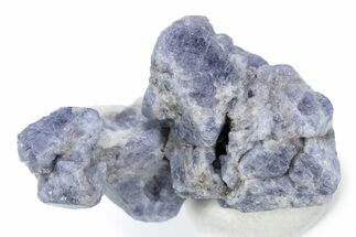 Lustrous Cobalt-Blue Spinel (Cobaltoan) Crystal Cluster - Vietnam #341797