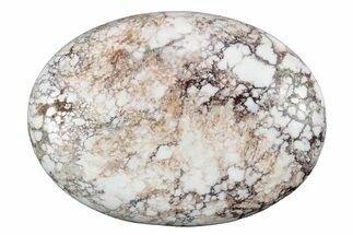 Polished Wild Horse Magnesite - Arizona #341929