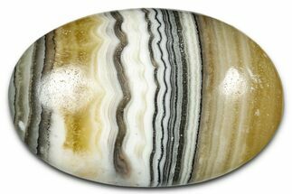 Polished Zebra Calcite - Mexico #342080
