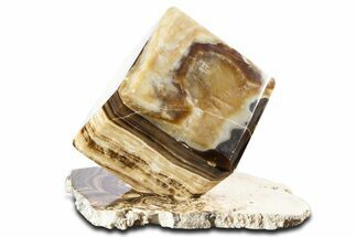 Swirling Polished Chocolate Calcite Cube With Base #342380