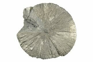 Radiant Pyrite Sun - Sparta, Illinois #342523