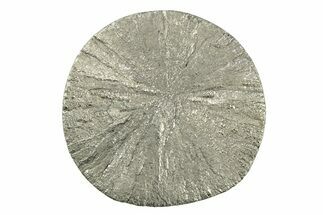 Radiant Pyrite Sun - Sparta, Illinois #342535