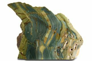 Free-Standing, Gary Green Jasper (Larsonite) Bog Wood - Oregon #334811