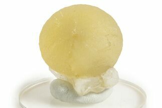 Botryoidal Yellow Fluorite on Quartz - India #342392