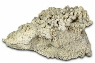 Purple Botryoidal Grape Agate - Indonesia #342939