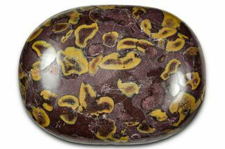 Polished Fruit Jasper Palm Stone - India #343182