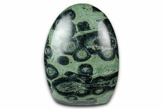 Free-Standing, Polished Kambaba Jasper - Madagascar #343995