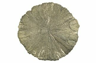 Radiant Pyrite Sun - Sparta, Illinois #342550