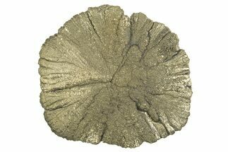 Radiant Pyrite Sun - Sparta, Illinois #342558