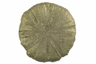 Radiant Pyrite Sun - Sparta, Illinois #342560