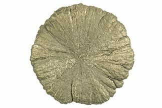 Radiant Pyrite Sun - Sparta, Illinois #342563