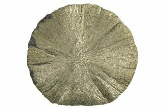 Radiant Pyrite Sun - Sparta, Illinois #342568