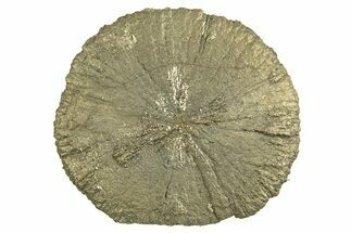 Radiant Pyrite Sun - Sparta, Illinois #342579