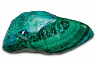 Vibrant Polished Malachite with Chrysocolla - DR Congo #336869