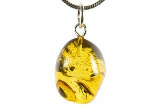 Polished Baltic Amber Pendant (Necklace) - Contains Beetle! #339554