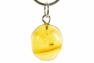 Polished Baltic Amber Pendant (Necklace) - Contains Fly! #339557