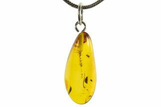 Polished Baltic Amber Pendant (Necklace) - Contains Fly! #339560