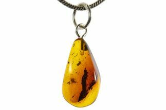 Polished Baltic Amber Pendant (Necklace) - Contains Fly & Debris! #339562