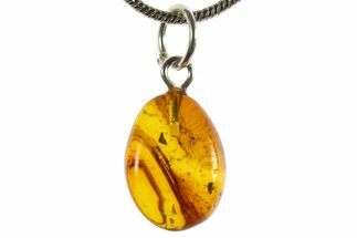 Polished Baltic Amber Pendant (Necklace) - Contains Fly! #339566