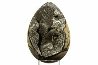 Septarian Dragon Egg Geode - Sparkly Black Crystals #344445