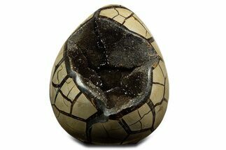 Polished Dragon Egg Septarian Geode - Free-Standing #344450
