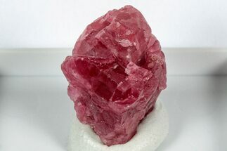 Striking Cherry-Red Rhodonite Specimen - Brazil #344965