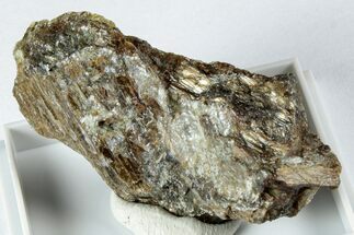 Gleaming Bronzite (Enstatite) Specimen - Austria #345019