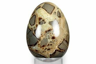 Calcite Crystal Filled Septarian Egg - Utah #344844