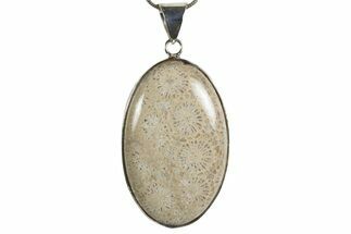 Polished Indonesian Fossil Coral Pendant (Necklace) #345276
