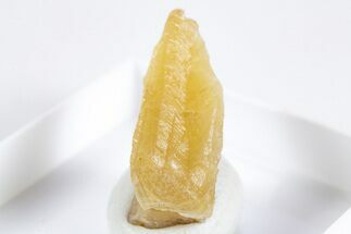 Rare Natural Eitelite Crystal - Wyoming #345699