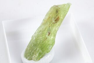 Unusual Green Kyanite Crystal - Tanzania #345722