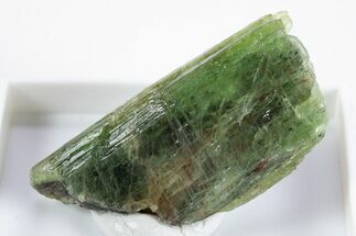 Unusual Green Kyanite Crystal - Tanzania #345724
