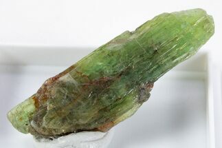 Unusual Green Kyanite Crystal - Tanzania #345725