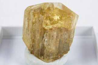 Terminated Yellow Marialite (Scapolite) Crystal - Tanzania #345753