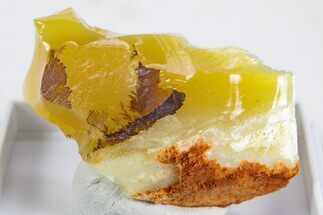 Natural Honey-Opal Specimen - Tanzania #345769