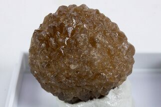 Citrine Quartz Star Pseudomorph after Ikaite - Morocco #345827