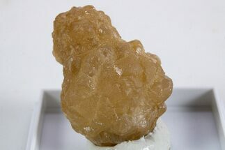 Citrine Quartz Star Pseudomorph after Ikaite - Morocco #345830