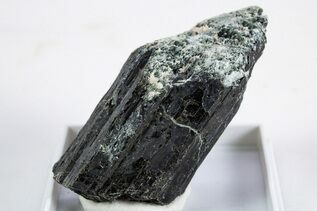 Buy Magnesio-Hastingsite